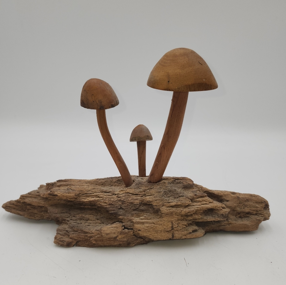 Vintage Mushroom Driftwood wood folk art 12" x 7" carving Branch Signed